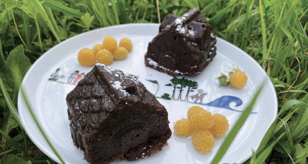 fondant au chocolat sans beurre en forme de petites maisons, présentés sur une assiette la plage par assiettes et compagnie... et quelques framboises blanches du jardin